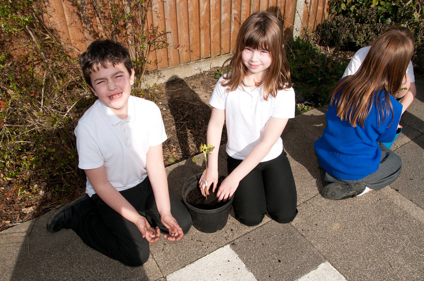 DGPX240311-025 
 Keywords: Downhall Primary School, Events, Marketing, Public Relations, RTC, Rayleigh in Bloom, ian H Ward, photography