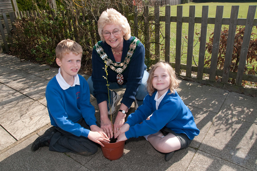 DGPX240311-022 
 Keywords: Downhall Primary School, Events, Marketing, Public Relations, RTC, Rayleigh in Bloom, ian H Ward, photography